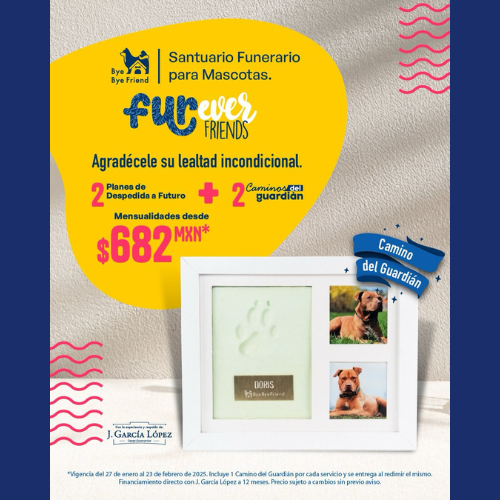 promocion.jpg2